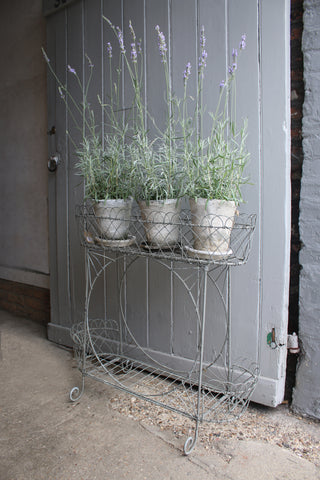 Victorian Style Plant Stand